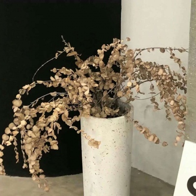建华FurryQQ群介绍